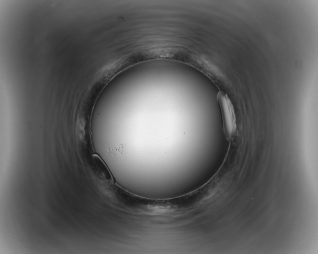 X0000086250693200704121952
