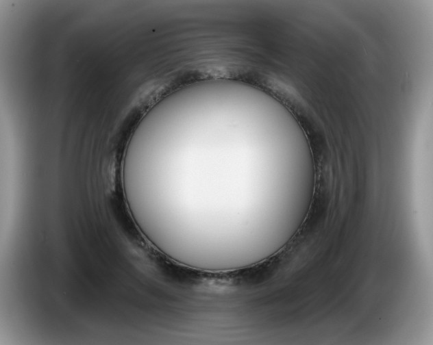 X0000086250694200704121952
