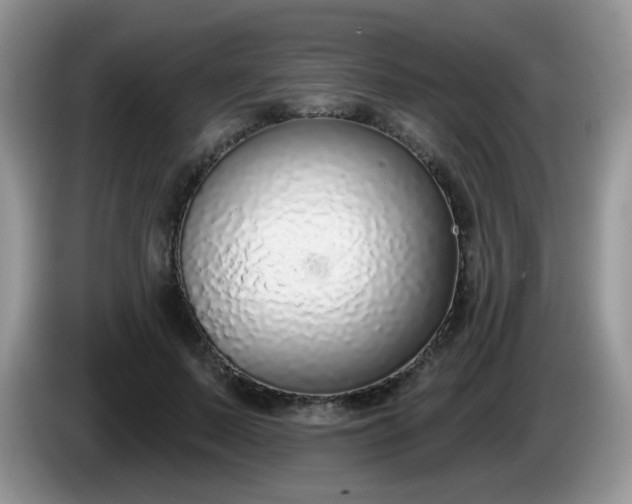 X0000086250695200704121952