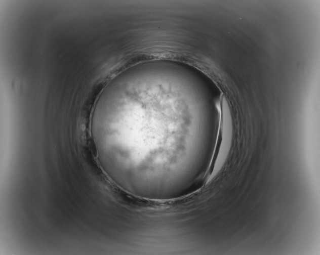 X0000086250696200704121952
