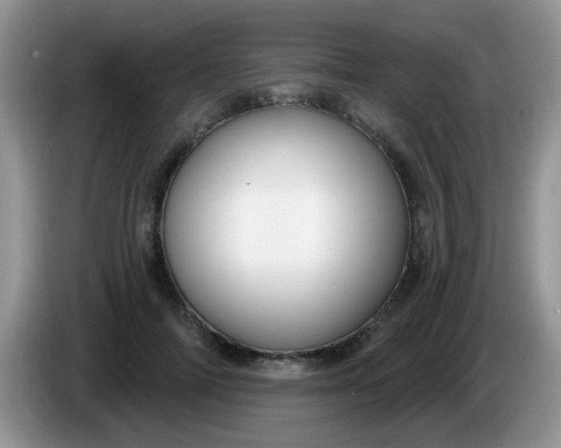 X0000086250698200704121952