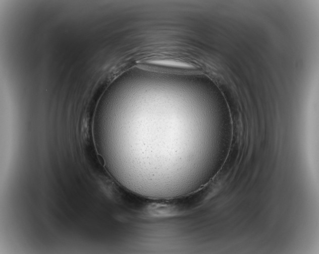 X0000086250699200704121952