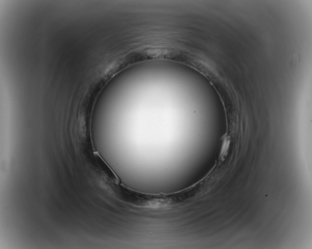 X0000086250700200704121952