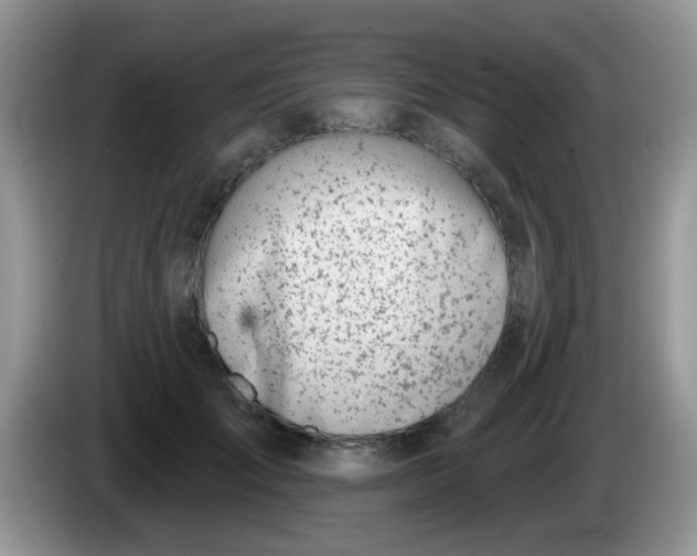 X0000086250701200704121952