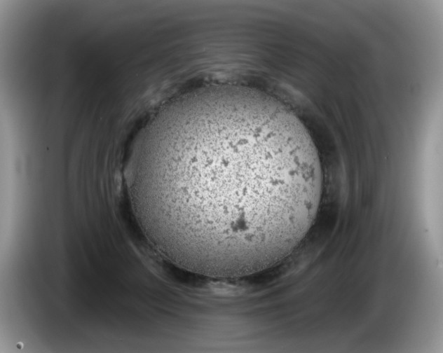 X0000086250703200704121952