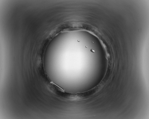 X0000086250704200704121952