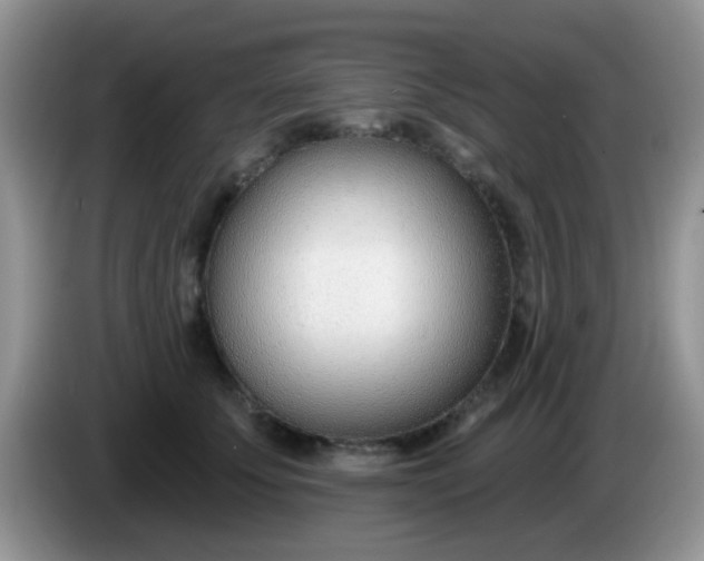 X0000086250707200704121952