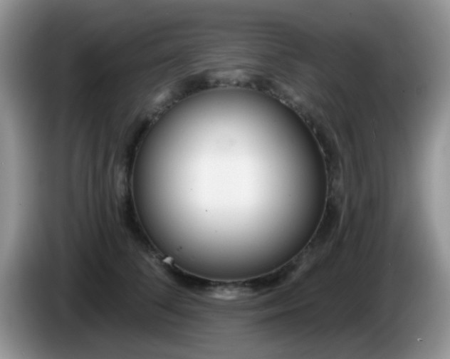 X0000086250708200704121952
