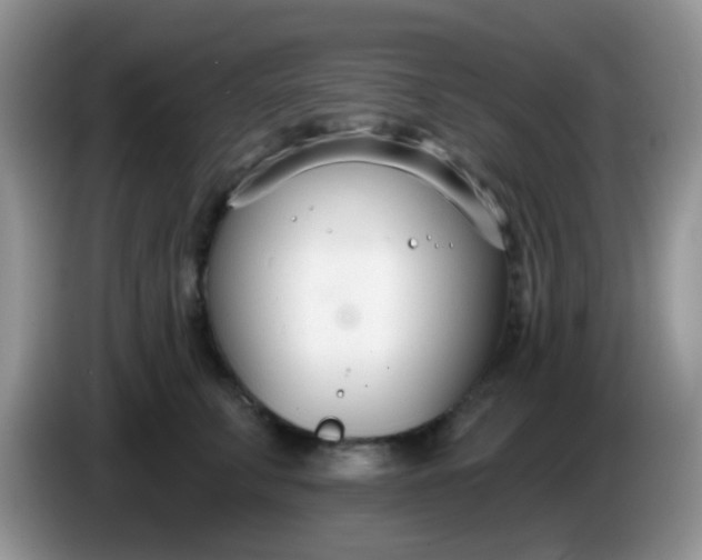 X0000086250711200704121952