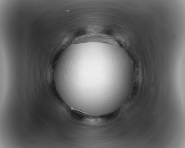 X0000086250712200704121952