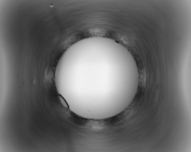 X0000086250713200704121952