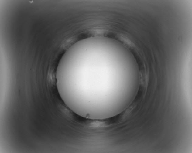 X0000086250718200704121952