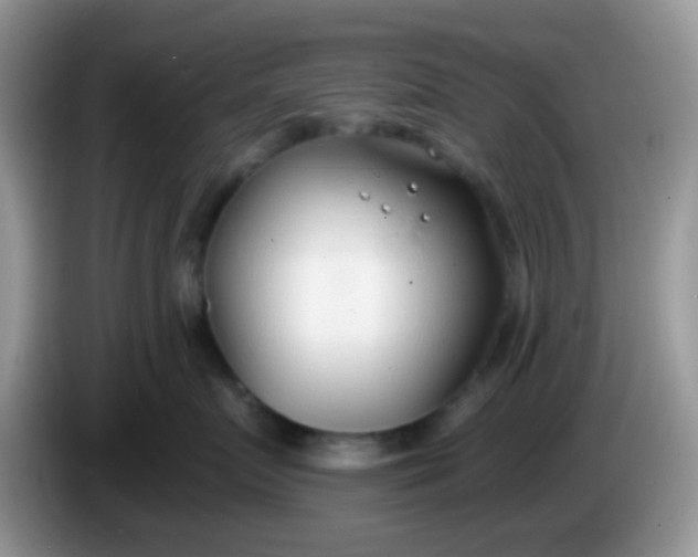 X0000086250719200704121952