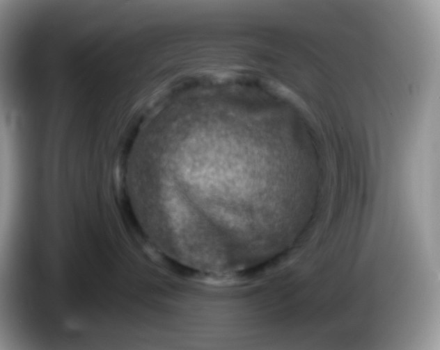 X0000086250720200704121952