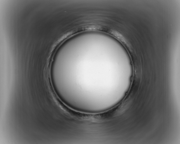 X0000086250721200704121951