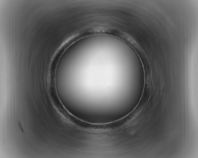 X0000086250722200704121951