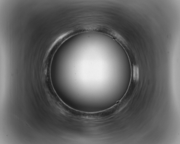 X0000086250723200704121951