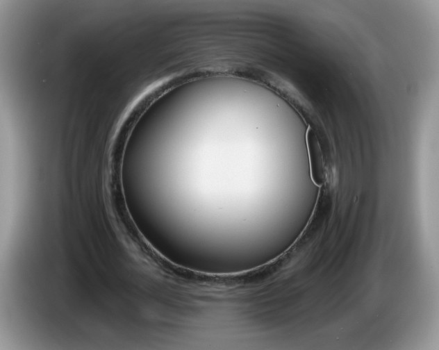 X0000086250724200704121951