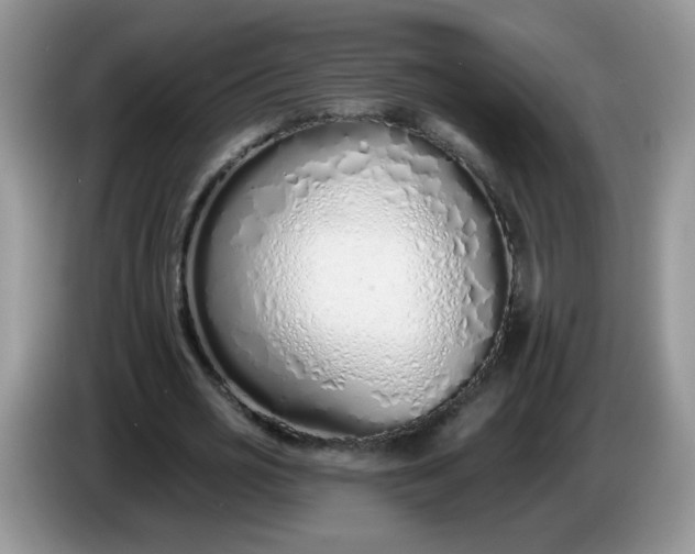 X0000086250725200704121951