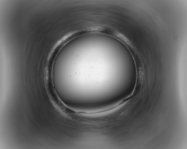 X0000086250726200704121951