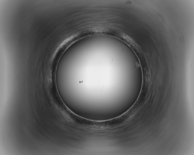 X0000086250727200704121951
