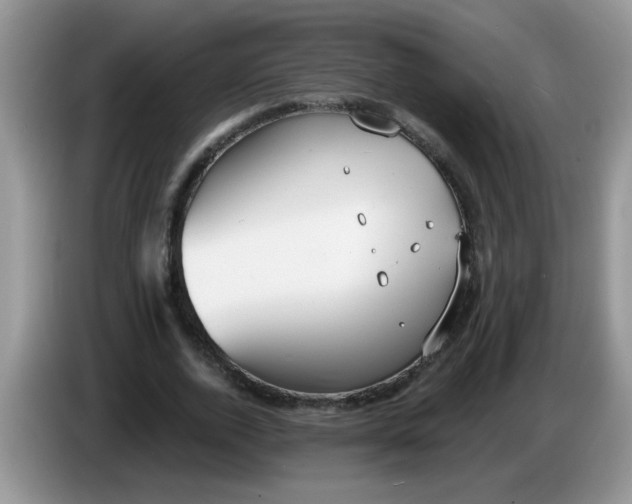 X0000086250728200704121951