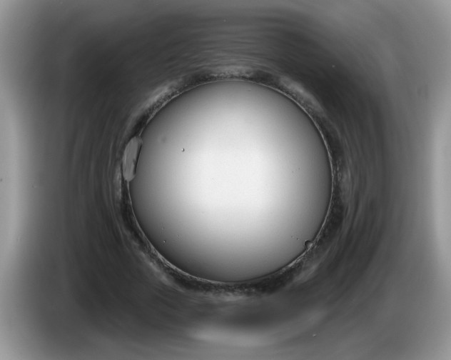 X0000086250729200704121951