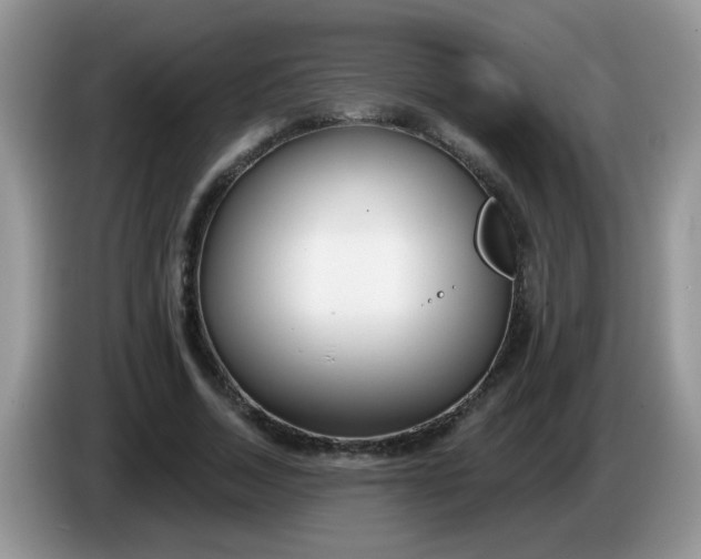 X0000086250730200704121951