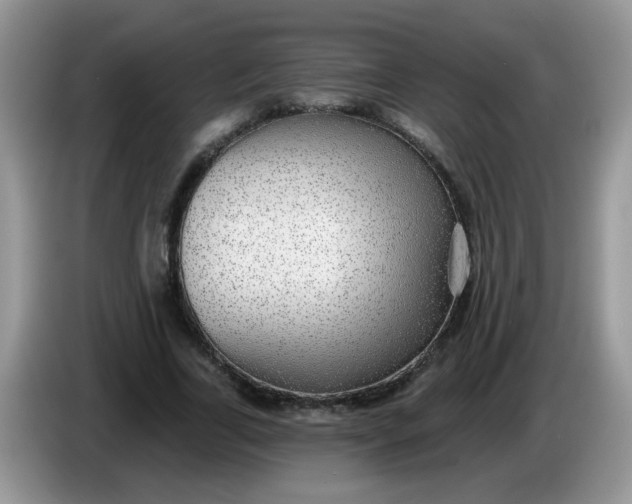 X0000086250731200704121951