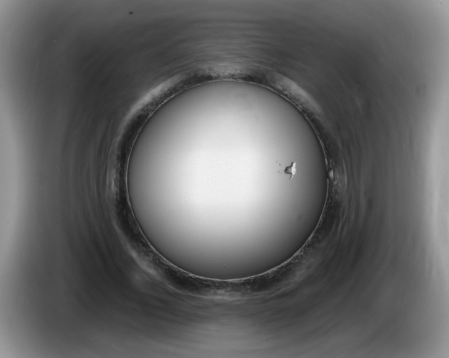 X0000086250732200704121951