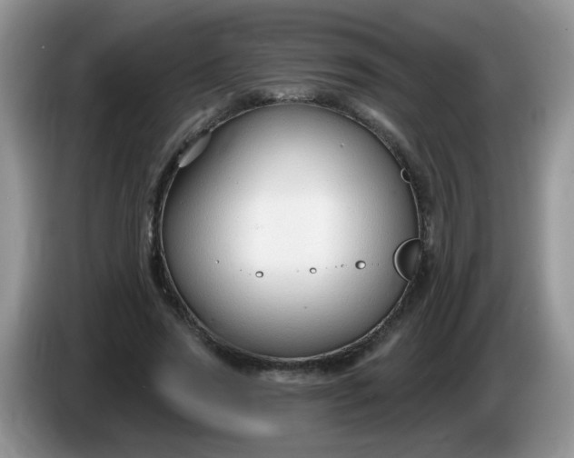 X0000086250733200704121951