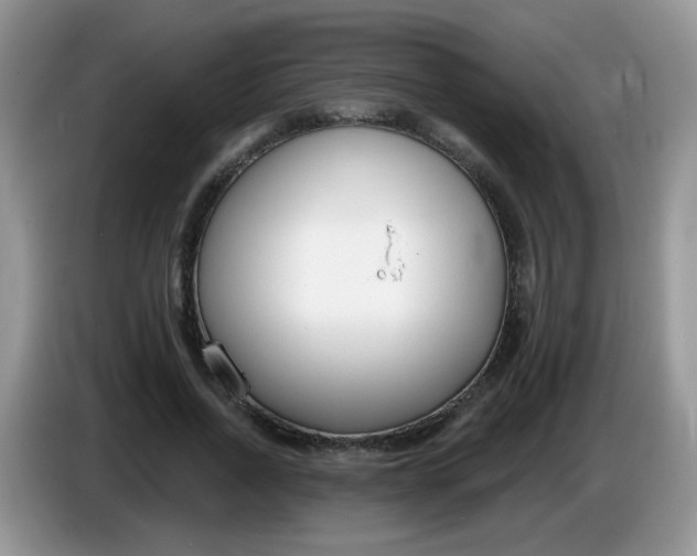 X0000086250734200704121951