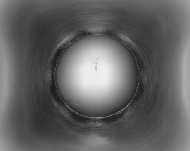 X0000086250735200704121951