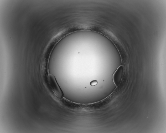 X0000086250736200704121951