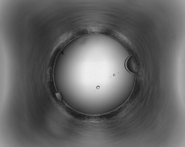 X0000086250738200704121951