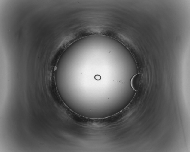 X0000086250739200704121951
