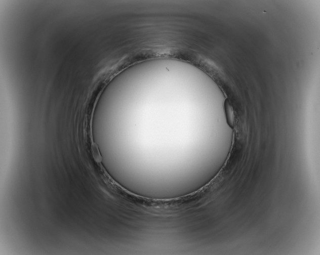 X0000086250740200704121951