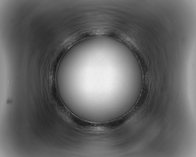 X0000086250741200704121951