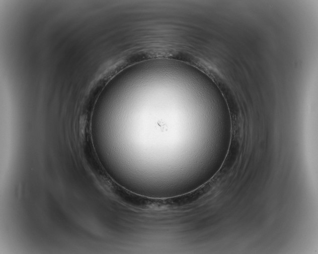 X0000086250742200704121951