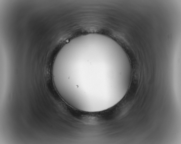 X0000086250743200704121951
