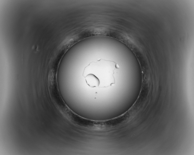 X0000086250744200704121951