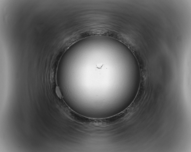 X0000086250745200704121951