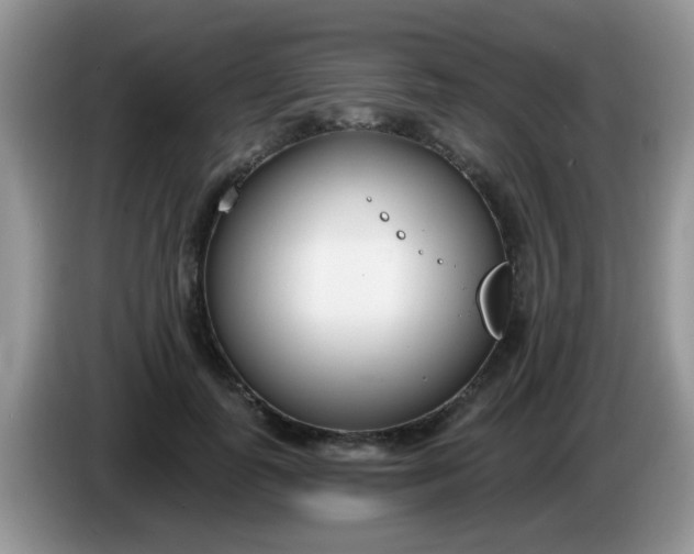 X0000086250747200704121951