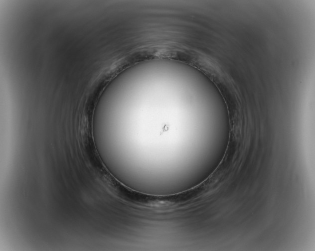 X0000086250748200704121951