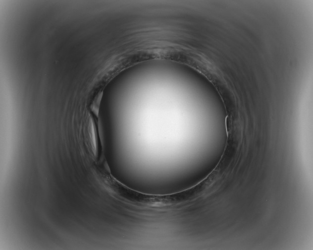 X0000086250750200704121952