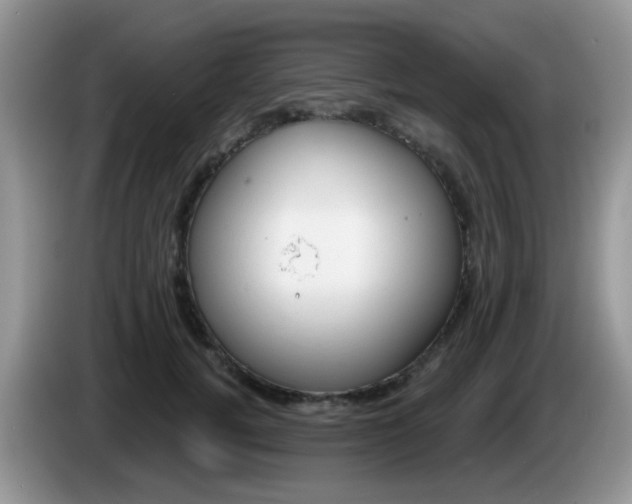X0000086250752200704121952