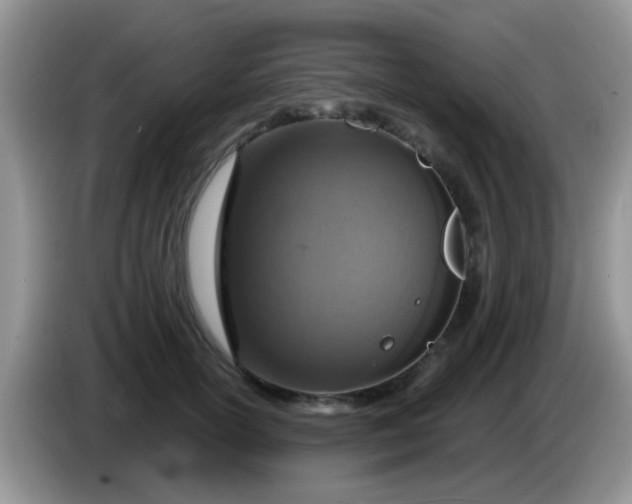 X0000086250754200704121952