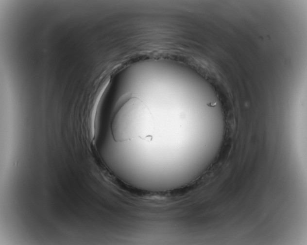 X0000086250756200704121952