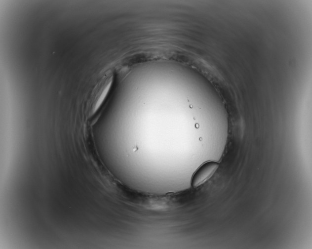 X0000086250757200704121952