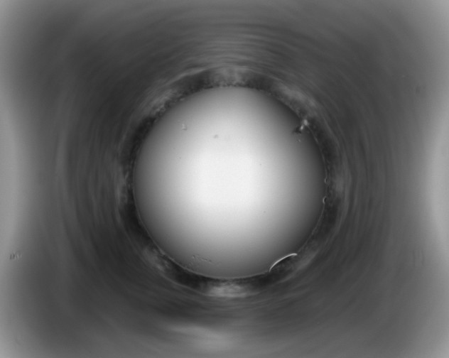 X0000086250759200704121952